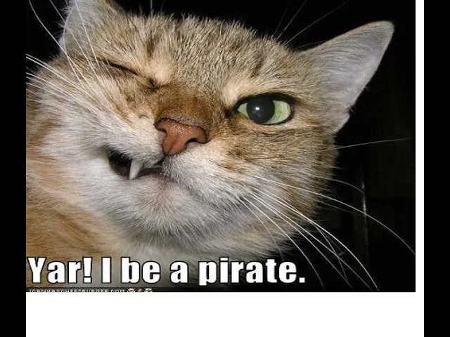 playing Battlefield Pirates yar