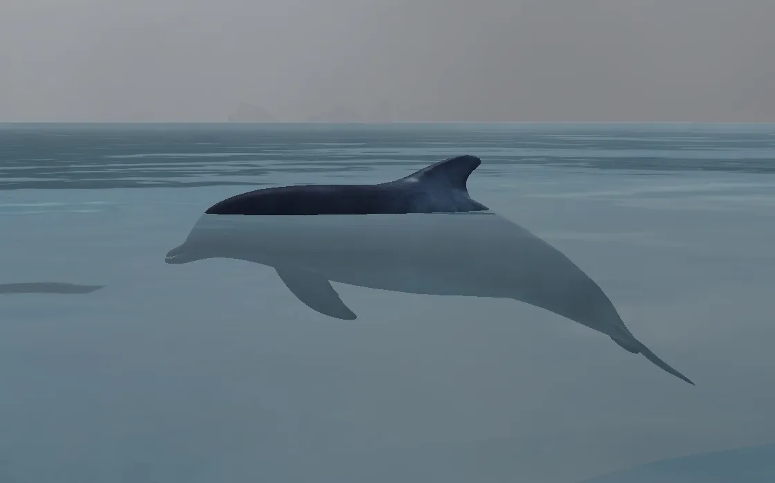 Dolphin